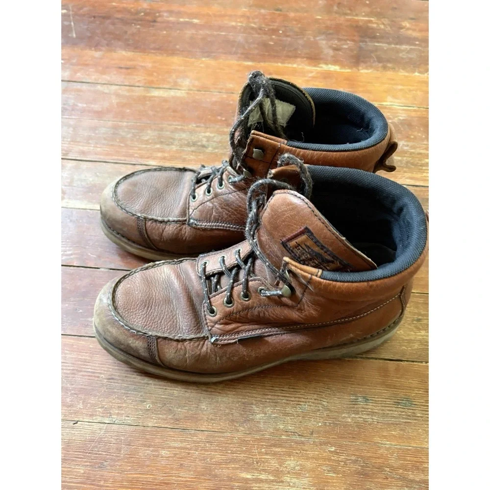 Irish Setter 6
